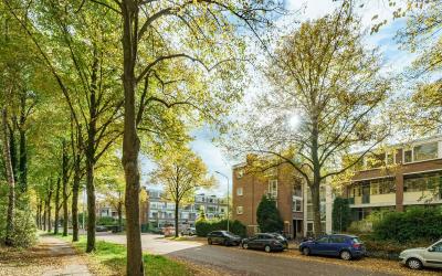 Hollandseweg 50