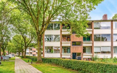 Bernhardstr. 41