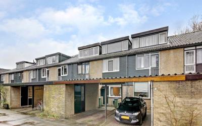Tarthorst 363