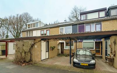 Tarthorst 373