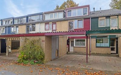 Tarthorst 501