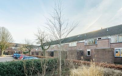 Tarthorst 182