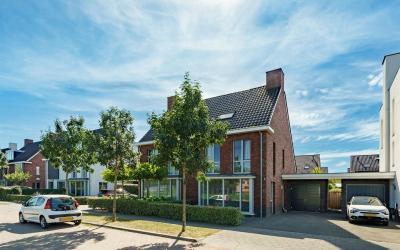 Nijlantsing. 43