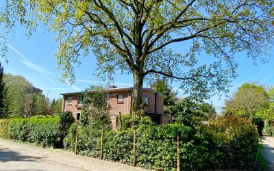 van der Hei. 6