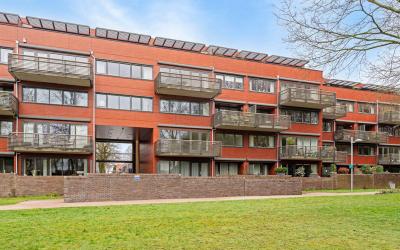 Burgemeeste. 56