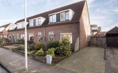 Goudsbloems. 27