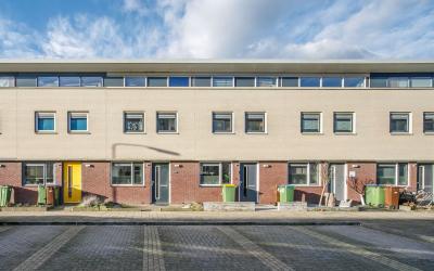 Goudsbloems. 44