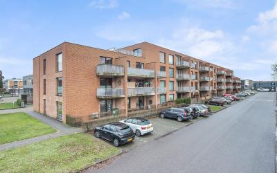 Spinderweg 101