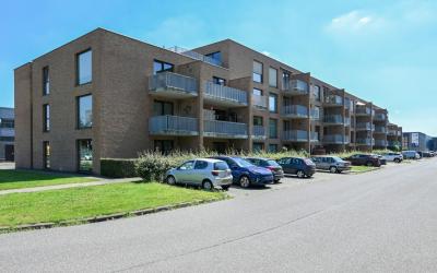 Spinderweg 51