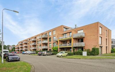 Spinderweg 89