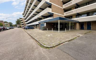 Sint Hubert. 236
