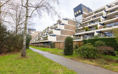 Sint Hubert. 342