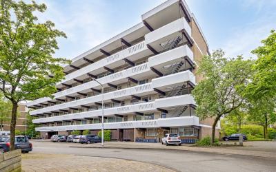 Sint Hubert. 528