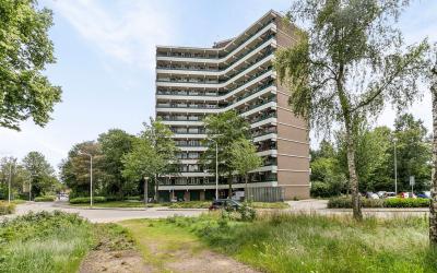 Valkestein 611