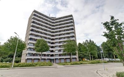 Valkestein 521