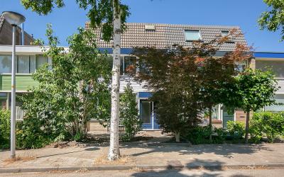Blijdestein 8