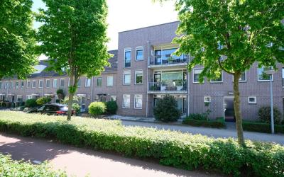 Sadatsingel 51
