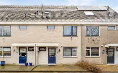 Nehrusingel 16