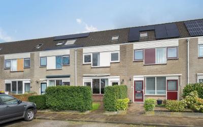 Berckheydes. 10