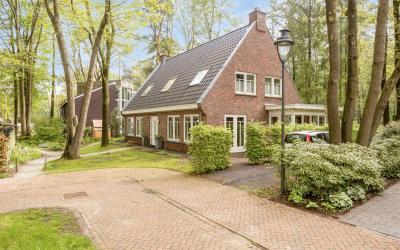 Vlashoek 11