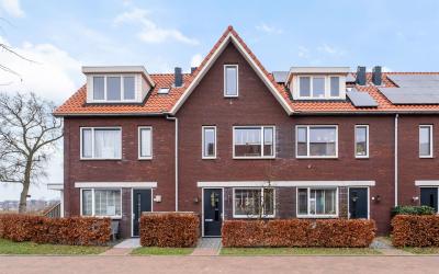 Bongeveen 50