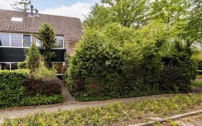 Grietjeshof 45