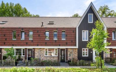 De Zandhoek 7