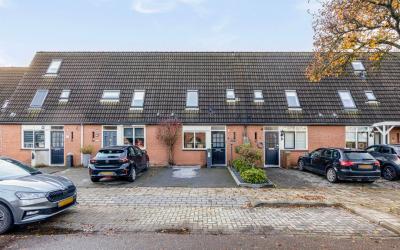 Hermelijnla. 8