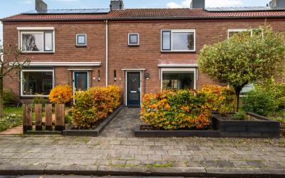 van Wamelen. 6