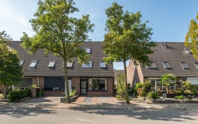 Goudenregen. 11