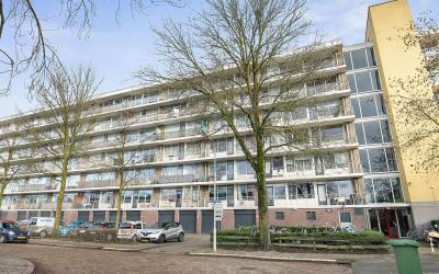 Wijenburgla. 13