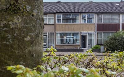 Wijenburgla. 12
