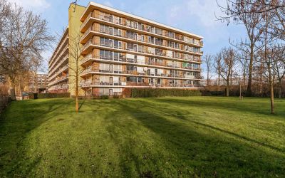 Kraaiensteinlaan 53