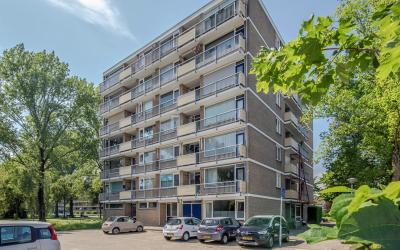 Wildenborgl. 2