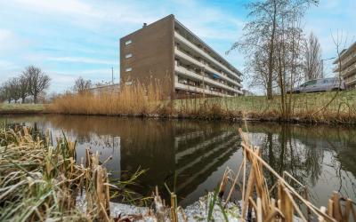 Van Borsele. 10