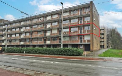 Van Borsele. 28
