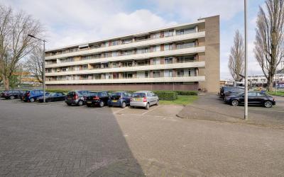 Van Borsele. 86