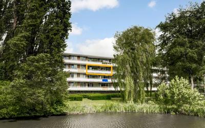 Van Borsele. 204