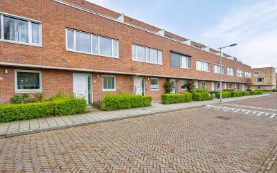 Het Zwin 63