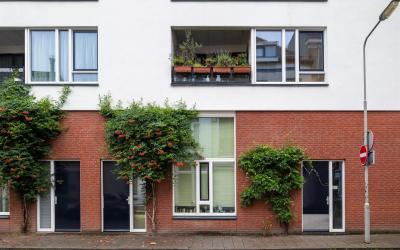 Driekoninge. 5