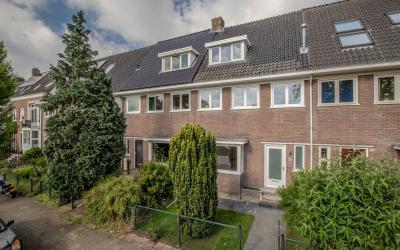 Groen van P. 20