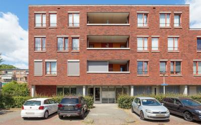 Lobeliastra. 42