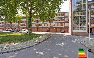 Orionsingel 228