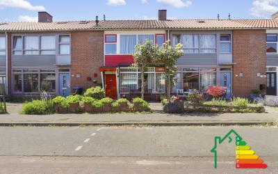 Pijlkruidst. 82