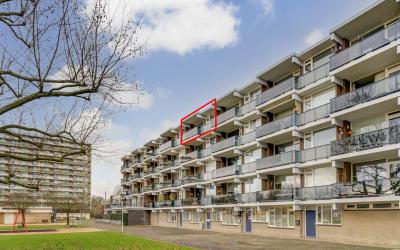 Loplein 54