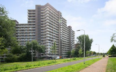 Groningensi. 821