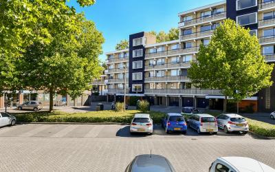 Groningensi. 995