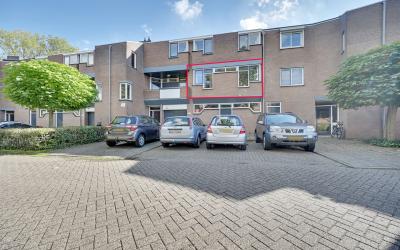 Groningensi. 1133