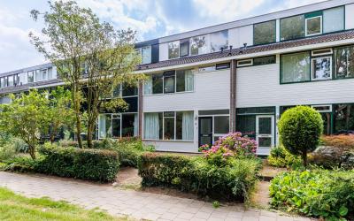 Drachtenpad 8