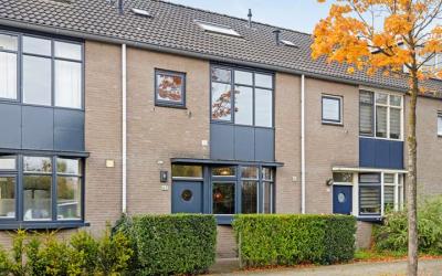 Marxsingel 42